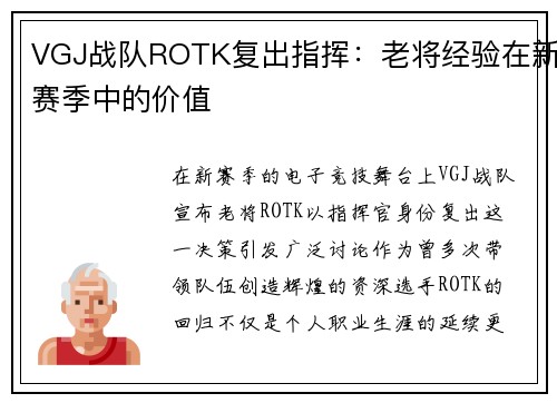 VGJ战队ROTK复出指挥：老将经验在新赛季中的价值